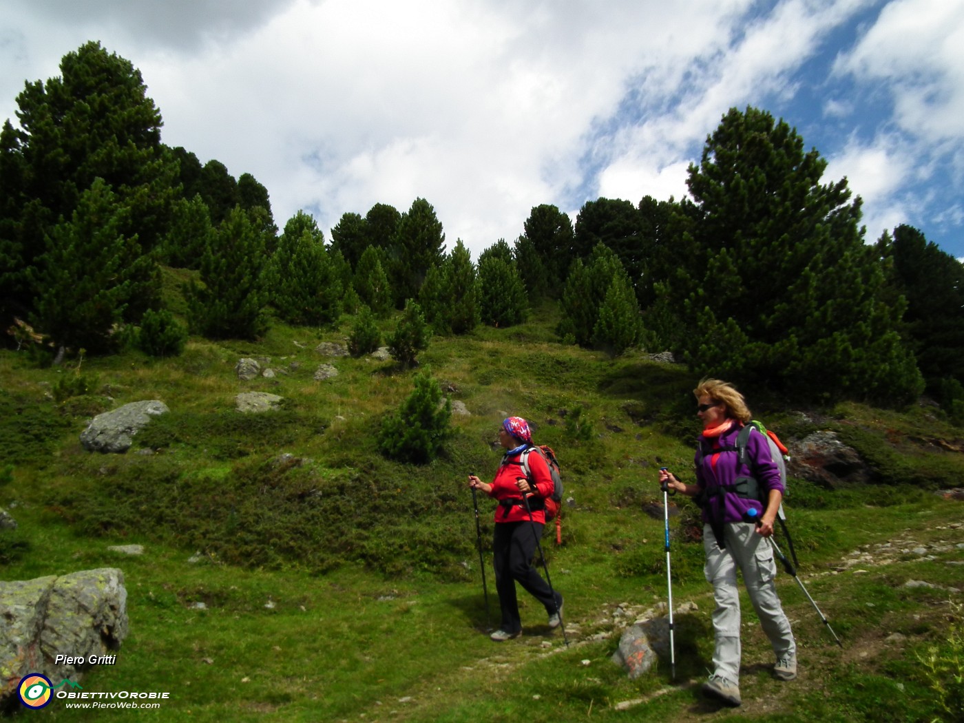 171 Scendiamo a valle tra alti pini mughi.JPG